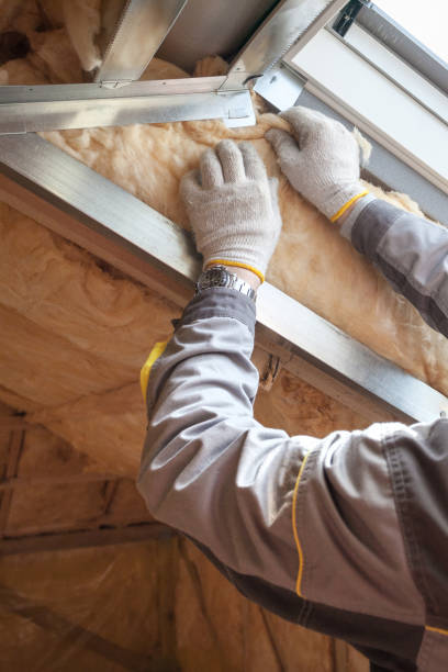 Best Attic Insulation Installation  in Daniels, WV