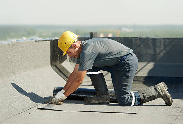 Best Insulation Contractor Near Me  in Daniels, WV