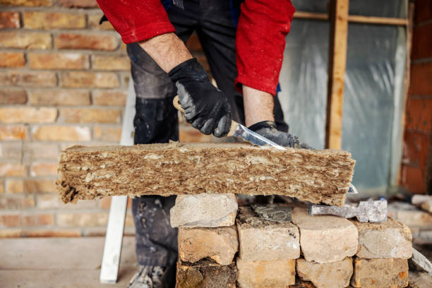Best Insulation Contractor Near Me  in Daniels, WV